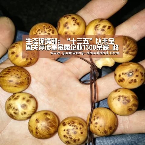 生态环境部:“十三五”以来全国关停涉重金属企业1300余家_政策法规_新闻_矿道网|新葡京娱乐官网(图4) 新葡京娱乐官网