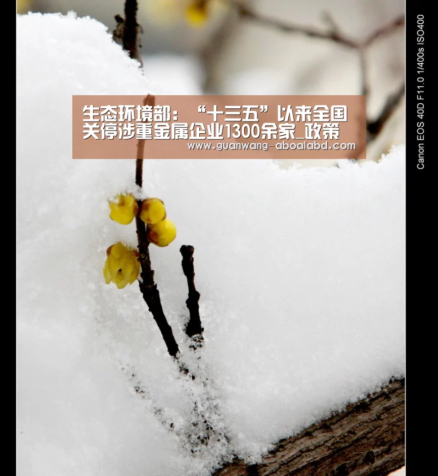 生态环境部:“十三五”以来全国关停涉重金属企业1300余家_政策法规_新闻_矿道网|新葡京娱乐官网(图3) 新葡京娱乐官网